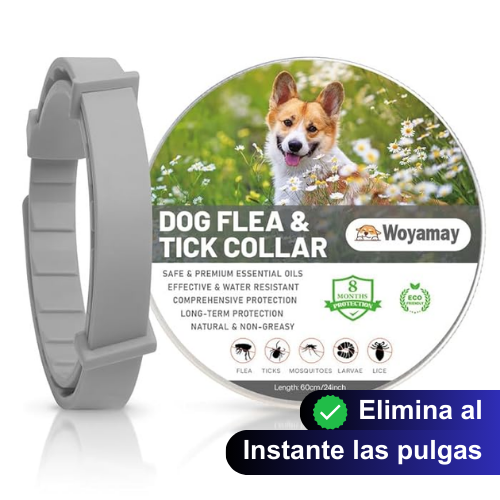 Waggie™ - Salva a tu perro de las pulgas
