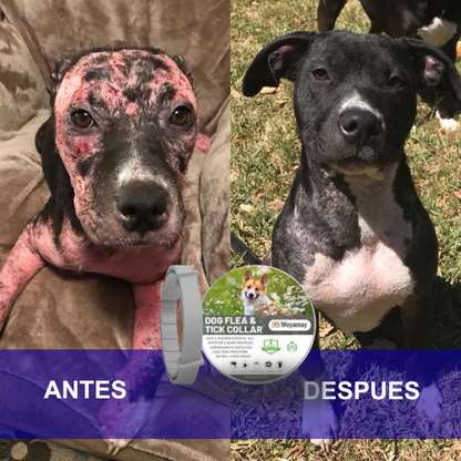 Waggie™ - Salva a tu perro de las pulgas
